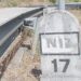 CIM Região de Coimbra projeta alternativa à EN17 com ligação ao IP3 e IC6