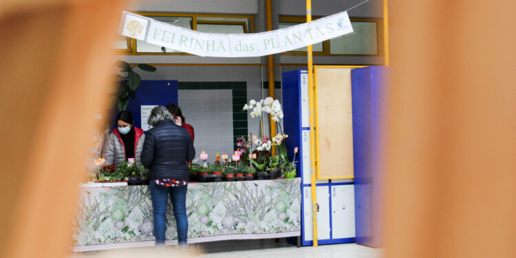 AEOH – Festa da Primavera em revista