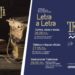 Letra a Letra – Jornadas da Literatura Oral e Tradicional em Vila Pouca da Beira e Lagares