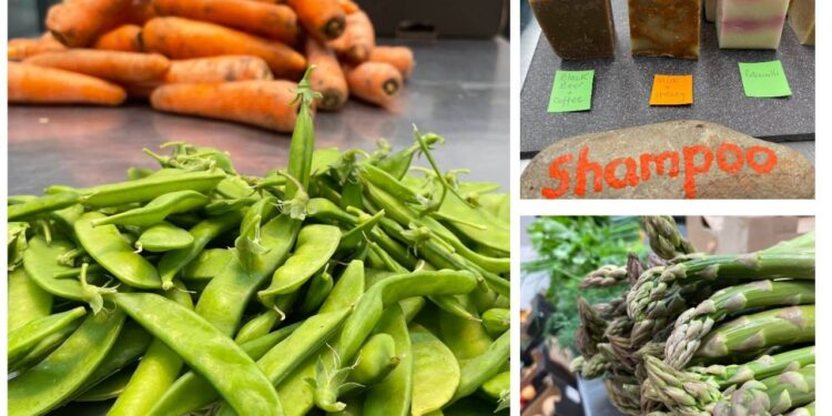 Sábado é dia de Mercado “Da Nossa Terra” no Município de Oliveira do Hospital