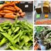 Sábado é dia de Mercado “Da Nossa Terra” no Município de Oliveira do Hospital