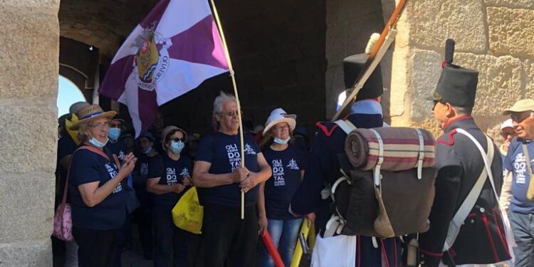 População sénior unida pelo desporto