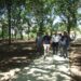 Parque dos Marmelos está aberto ao público