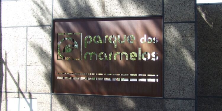 Parque dos Marmelos está aberto ao público