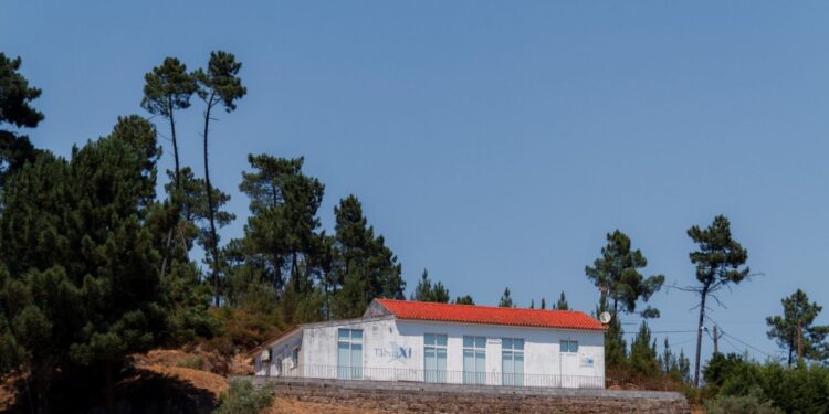 Município de Oliveira do Hospital apoia criadores de ovinos com alimentação