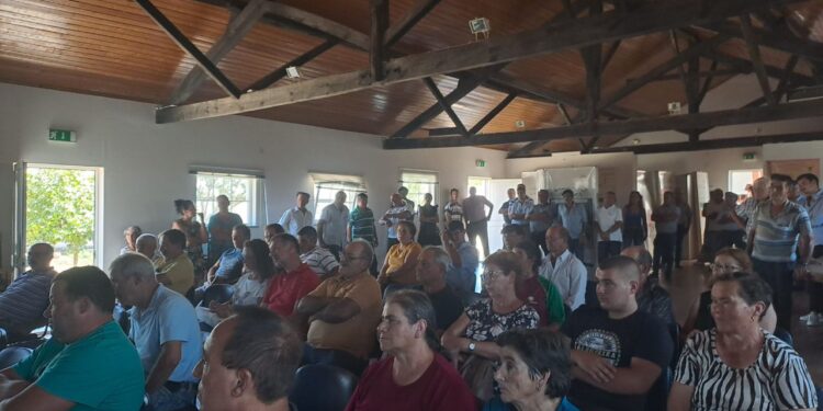 Município de Oliveira do Hospital apoia criadores de ovinos com alimentação