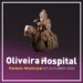 Oliveira do Hospital distingue cidadãos e entidades no seu Feriado Municipal