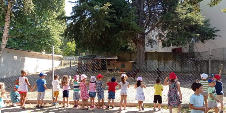 Município disponibilizou “Atividades de Verão” para alunos do pré-escolar e do 1.º CEB