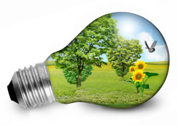 Conselho Intermunicipal aprova medidas de eficiência energética para a Região de Coimbra