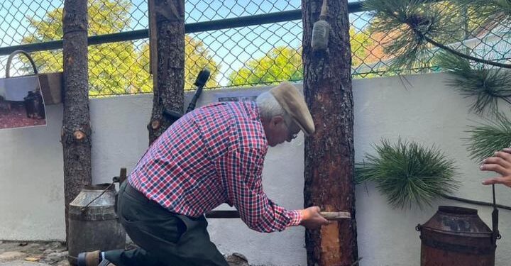 Alvoco das Várzeas homenageou antigos resineiros da freguesia
