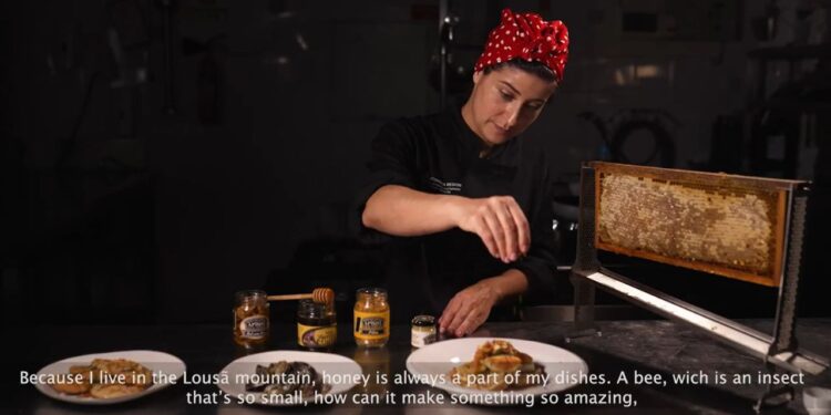 Documentário sobre o Mel da Região de Coimbra duplamente premiado em festival internacional