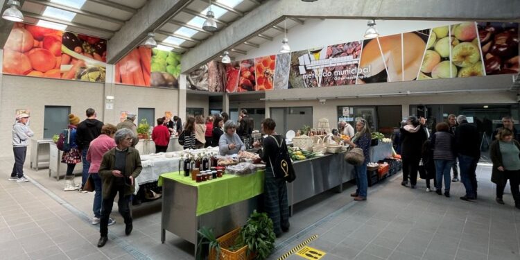Mostra “Da Nossa Terra” realiza-se sábado no Mercado Municipal