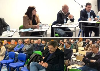 Adeptoliva aprova maior orçamento de sempre