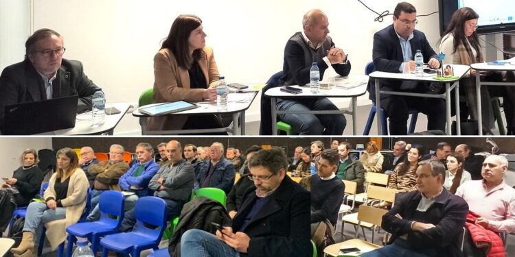 Adeptoliva aprova maior orçamento de sempre