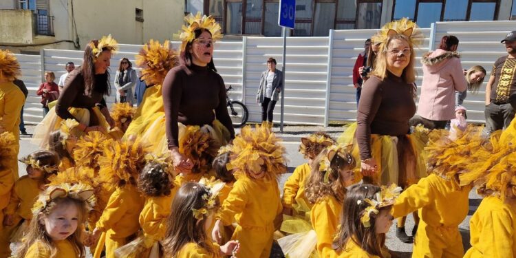 Desfile de Carnaval do Agrupamento de Escolas de Oliveira do Hospital com “A Magia da Disney”