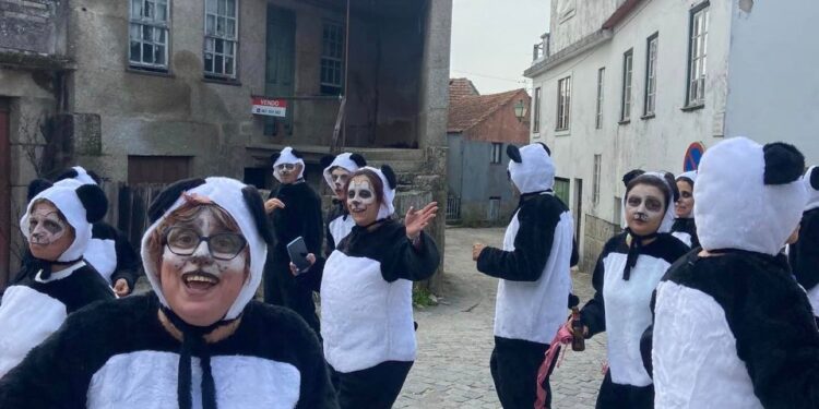 Carnavais de Lagares e Seixo da Beira regressaram com muita alegria e diversão