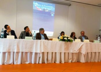 “Há ainda muito trabalho a fazer na área da literacia em saúde mental”
