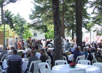 Encontro intergeracional “Primavera Sénior” realiza-se esta quinta-feira