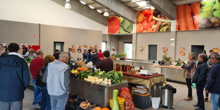 Produtos biológicos e agrícolas na Mostra “Da Nossa Terra”