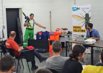 CIM Região de Coimbra capacita os técnicos municipais para o combate à Vespa Velutina