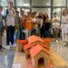 “Monumentos e Sítios do Mundo” mostra património local, nacional e internacional pelo olhar de alunos de Oliveira do Hospital