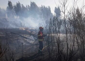 Incêndio em Lagares da Beira combatido por mais de 200 Bombeiros e sete meios aéreos