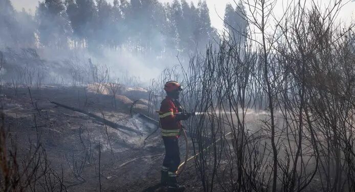 Incêndio em Lagares da Beira combatido por mais de 200 Bombeiros e sete meios aéreos