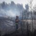 Incêndio em Lagares da Beira combatido por mais de 200 Bombeiros e sete meios aéreos