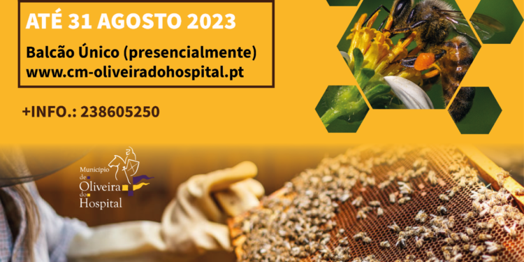 Oliveira do Hospital lança Programa de Apoio aos Apicultores do Município