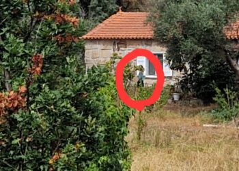 PJ fez buscas no “Reino do Pineal” em Seixo da Beira