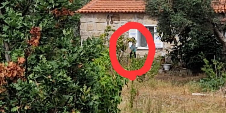 PJ fez buscas no “Reino do Pineal” em Seixo da Beira