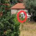 PJ fez buscas no “Reino do Pineal” em Seixo da Beira