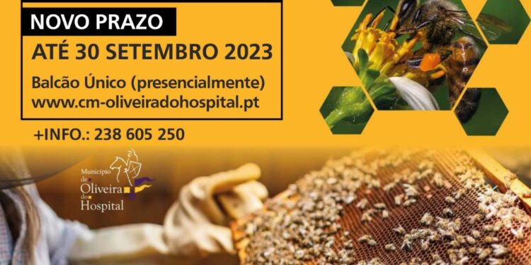 Programa de apoio aos apicultores com prazo alargado até 30 de setembro