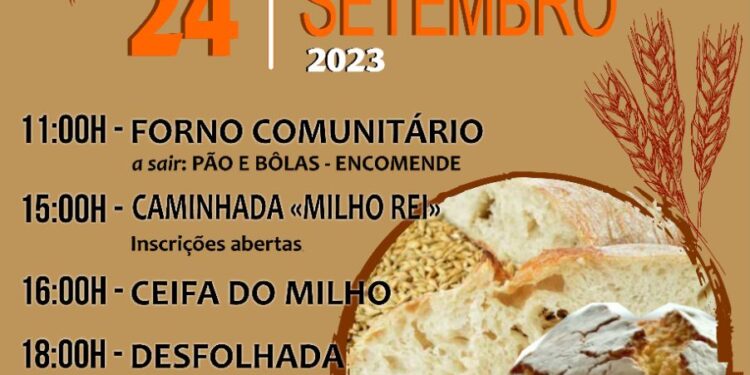 Ciclo do Pão em Meruge