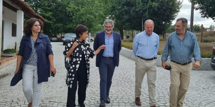 Presidente da Câmara de Oliveira do Hospital quer que ajudas financeiras do “Pedido Único” cheguem a mais agricultores
