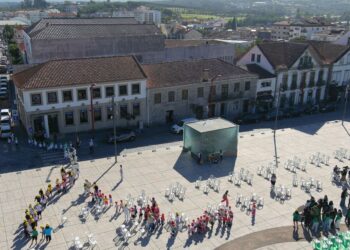 Programa de apoio aos apicultores com prazo alargado até 30 de setembro