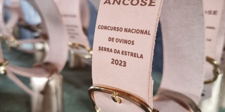 Presidente da Câmara de Oliveira do Hospital quer que ajudas financeiras do “Pedido Único” cheguem a mais agricultores