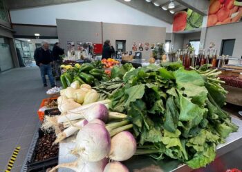 Mostra “Da Nossa Terra” realiza-se sábado no Mercado Municipal de Oliveira do Hospital