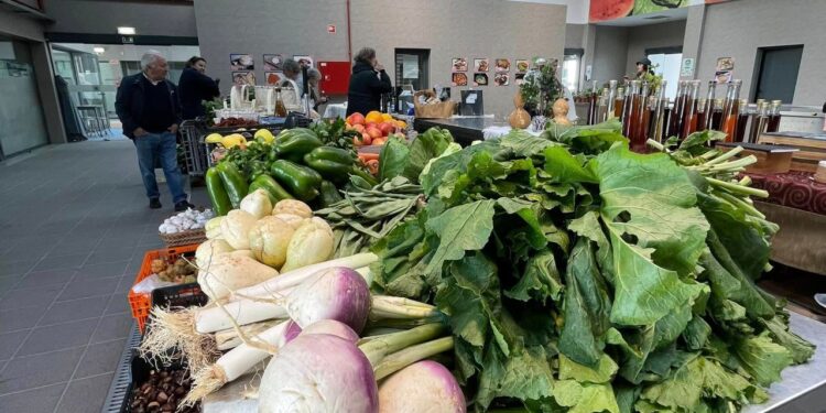 Mostra “Da Nossa Terra” realiza-se sábado no Mercado Municipal de Oliveira do Hospital