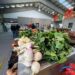 Mostra “Da Nossa Terra” realiza-se sábado no Mercado Municipal de Oliveira do Hospital