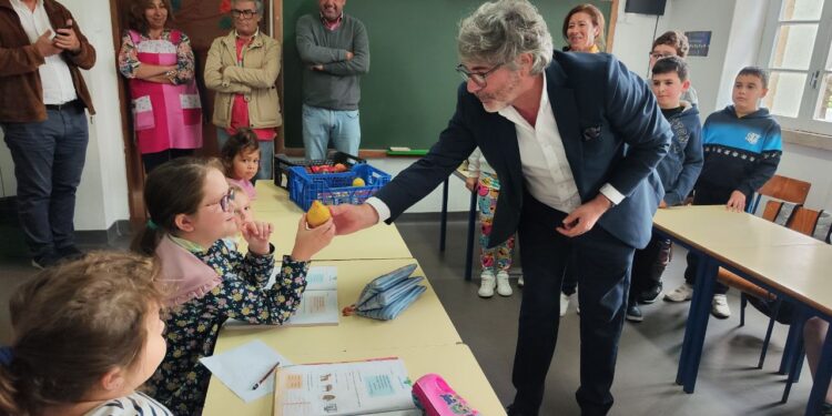 Município de Oliveira do Hospital distribui fruta aos alunos e promove hábitos de alimentação saudável