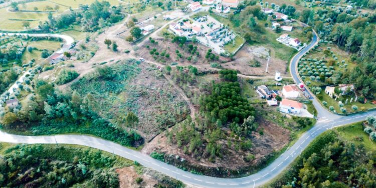 Projetos de Proteção e Resiliência Ambiental em Tábua: Combate aos Incêndios Rurais e às Espécies Invasoras