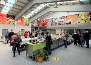 No Dia de S. Martinho há produtos biológicos e agrícolas na Mostra “Da Nossa Terra”