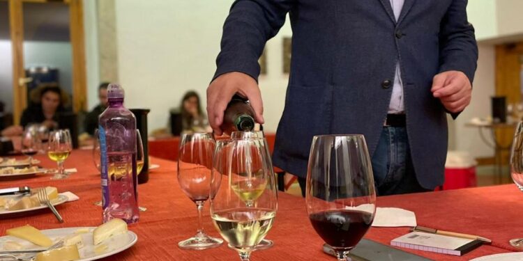 Formação em Enogastronomia capacita profissionais do Turismo de Oliveira do Hospital