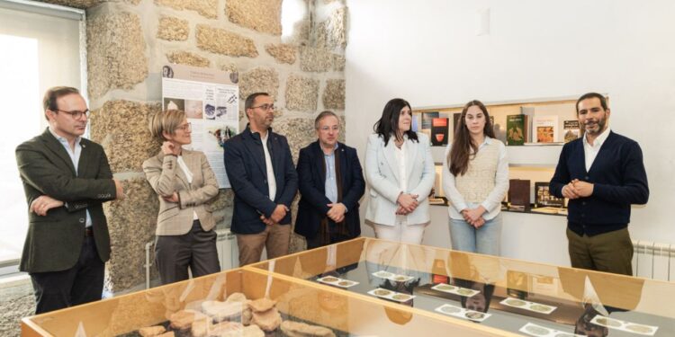 “Tábua tem uma visão estratégica para a Cultura”