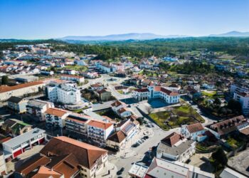 Digitalização do Comércio Local de Tábua terá investimento de 1 milhão de euros