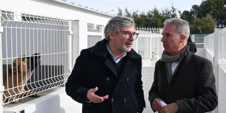 Novo Centro de Recolha Oficial Animal de Oliveira do Hospital inaugurado