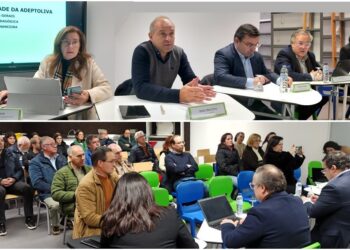 Adeptoliva aprova maior Orçamento de sempre para 2024