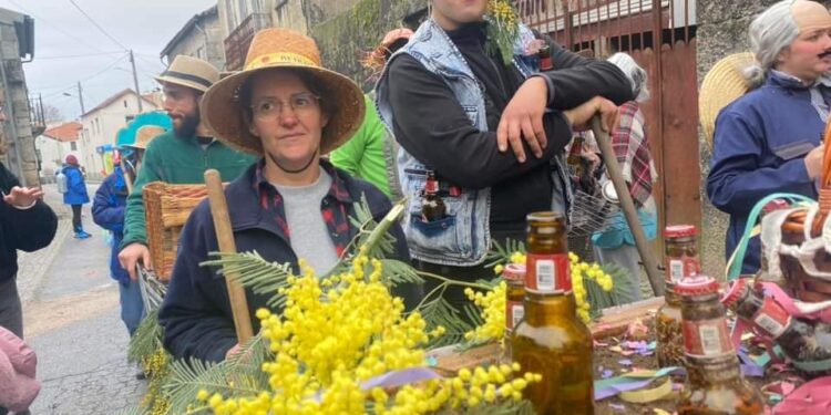 CARNAVAIS voltaram a sair à rua no Concelho de Oliveira do Hospital