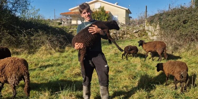 “Lembro-me desde pequenino de ver um grande rebanho a passar no meio da vila e aquilo encantava-me”
